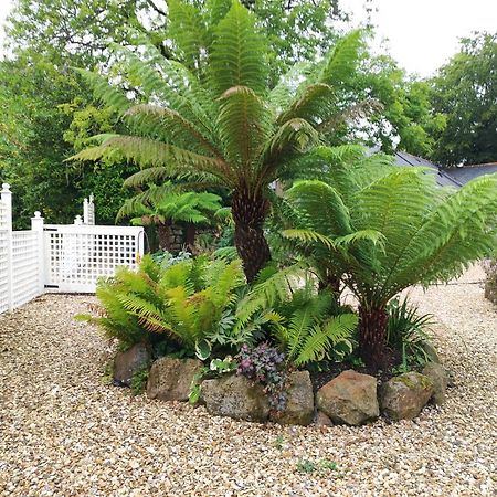 Pleasant Streams Barn St Austell Exterior foto