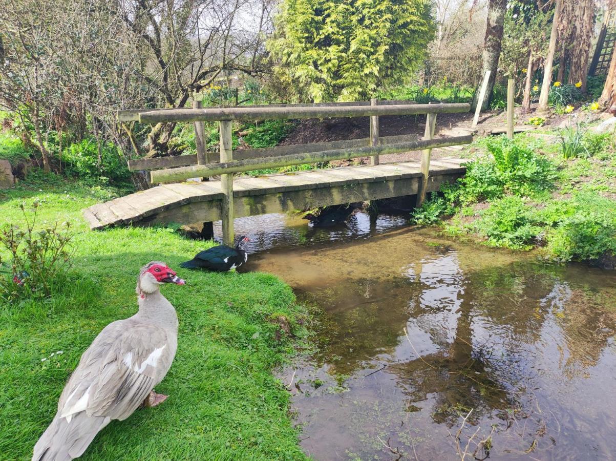 Pleasant Streams Barn St Austell Exterior foto